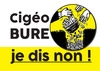 Ic Small W100h100q100 Cigeo Png