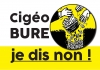 Ic Small W100h100q100 Cigeo